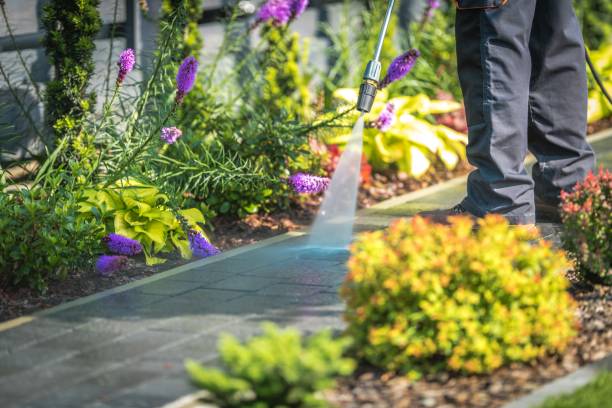 Best Brick and Stone Cleaning in Terrell Hills, TX