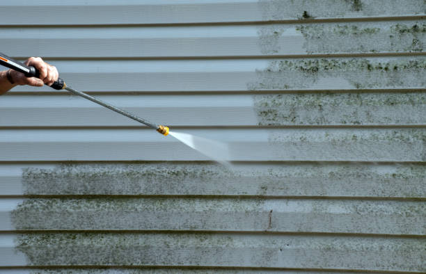 Best Window and Screen Pressure Cleaning in Terrell Hills, TX